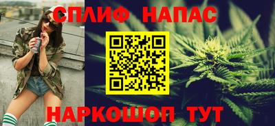 индика Пугачёв