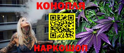 индика Пугачёв