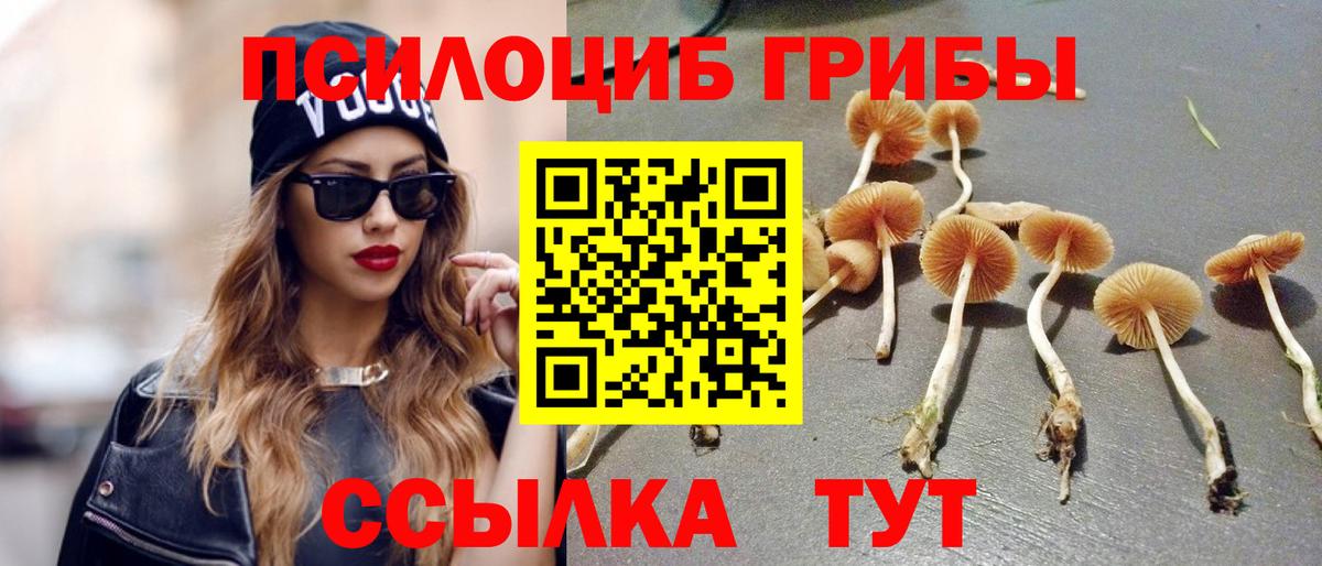 Галлюциногенные грибы Magic Shrooms Солнечногорск